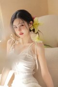 成立通明、系统完